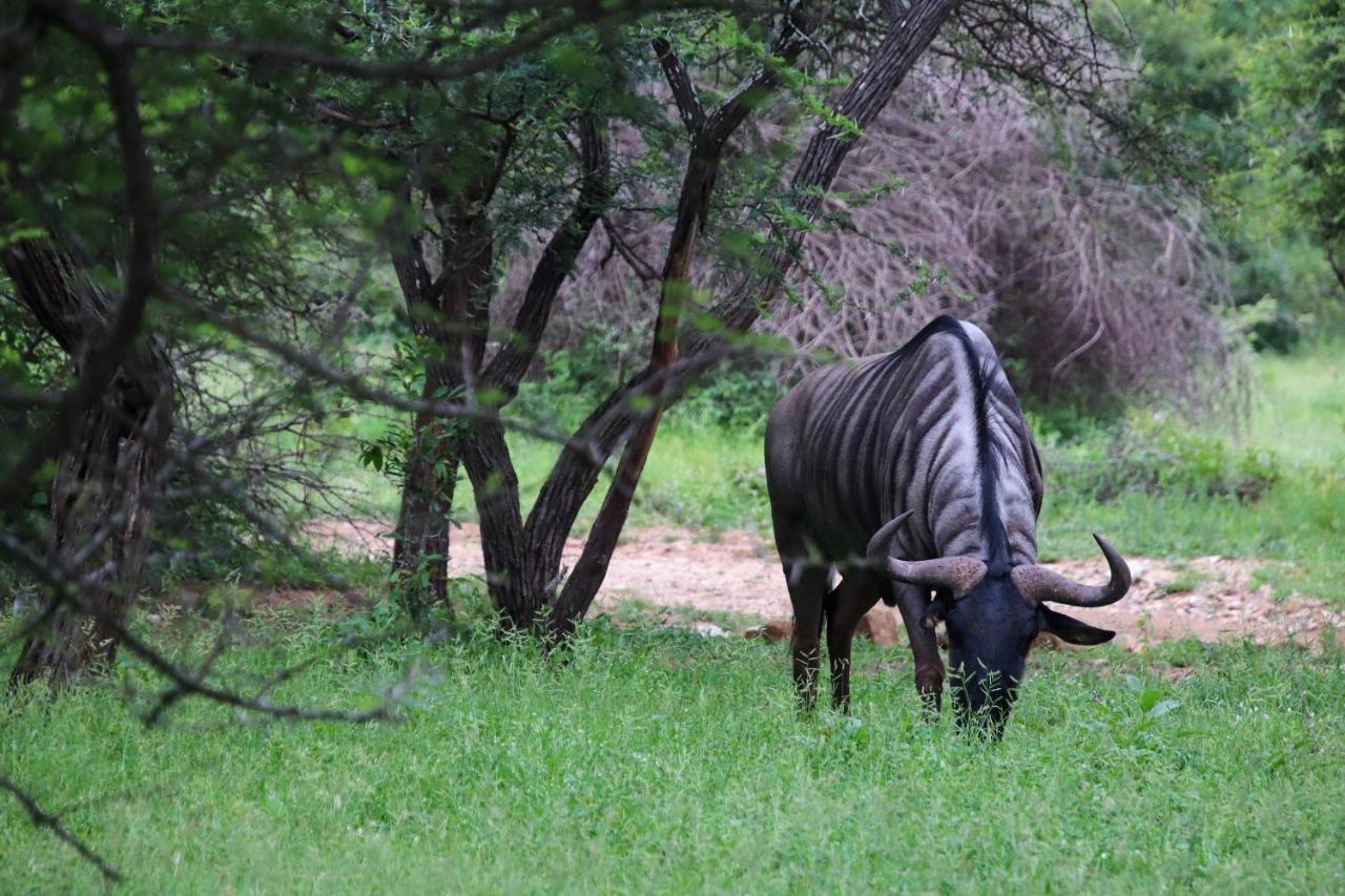 Umkhaya